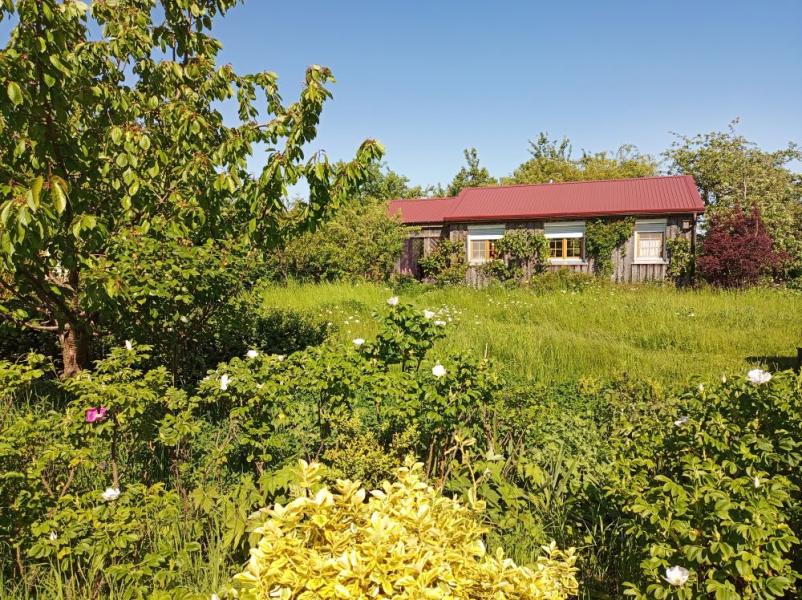 C18D8296-B077-51BB-B161-CACA57771BC8_Ansicht